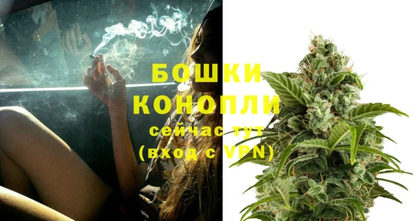 ПСИЛОЦИБИНОВЫЕ ГРИБЫ Белоозёрский