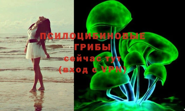 ПСИЛОЦИБИНОВЫЕ ГРИБЫ Белоозёрский
