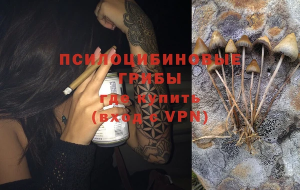 ПСИЛОЦИБИНОВЫЕ ГРИБЫ Белоозёрский